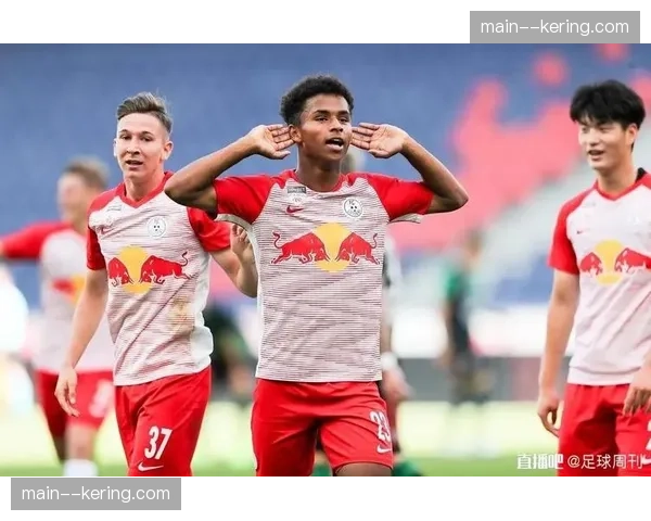 财务调查：多家德甲俱乐部青年队海外卫星合作模式面临监管审查