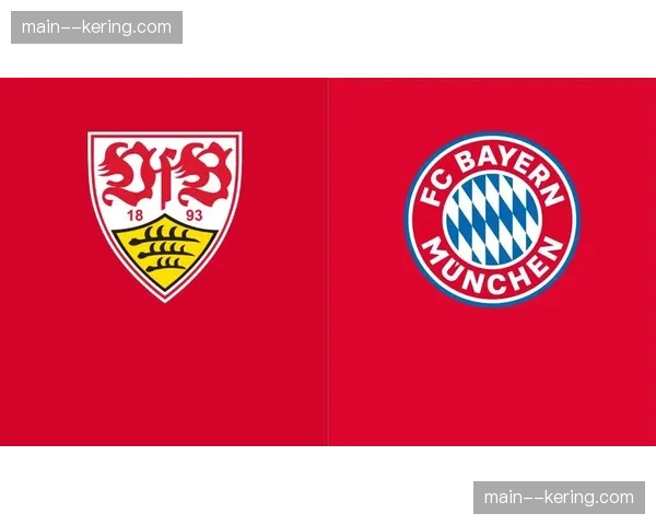 专访当值主裁：解析拜仁对斯图加特比赛中VAR介入的争议点球判罚